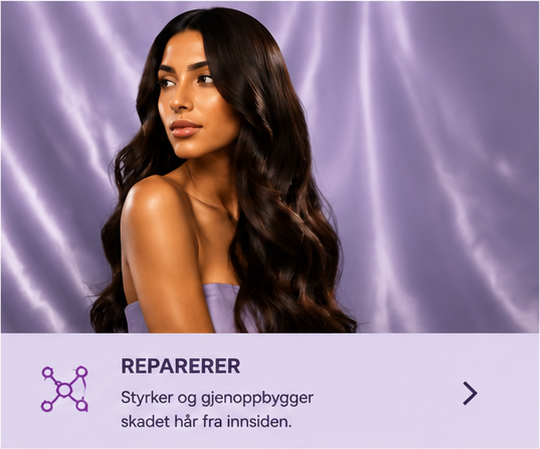 Reparerer