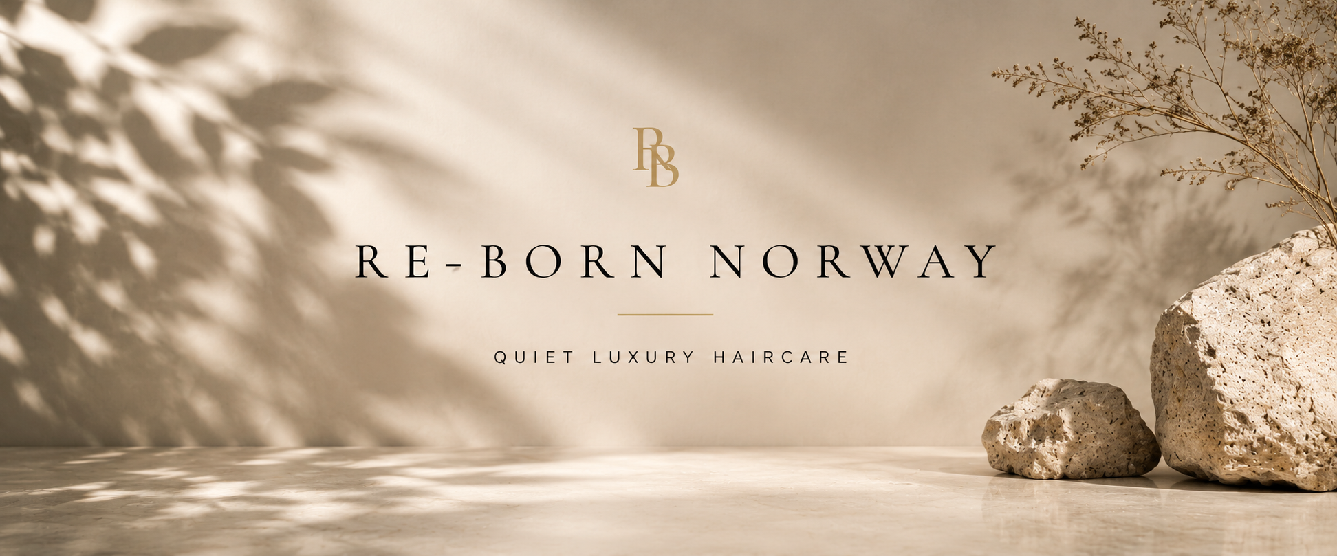 Re-born Norge byaasteen